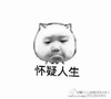 怀疑人生     斗图   撇嘴   失落