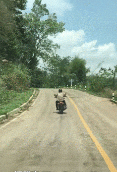 骑摩托 背影 走位可以 绿树