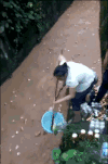 女人 河水 捞东西