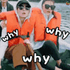 花儿与少年 古力娜扎 宋祖儿 why why 疑问 蒙圈 疑问 懵 soogif soogif出品