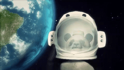 熊猫 宇航员 太空 地球 动画 飞 panda
