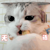 萌宠 猫星人 无语 嫌弃 呆萌 可爱