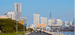 城市 大道 延时摄影 日本 日本横滨城市风光 纪录片 蓝天 运动