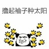 金馆长 笑容 黄色 撸起袖子种太阳