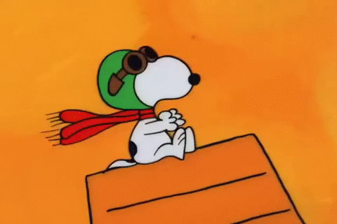 史努比 Snoopy 万圣节 花生查理布朗