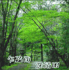 清明节