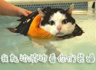 猫咪 可爱 游泳 萌宠 我就边看你们装逼