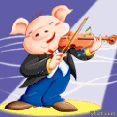 拉小提琴的快乐猪猪  二蛋 二货  逗逼