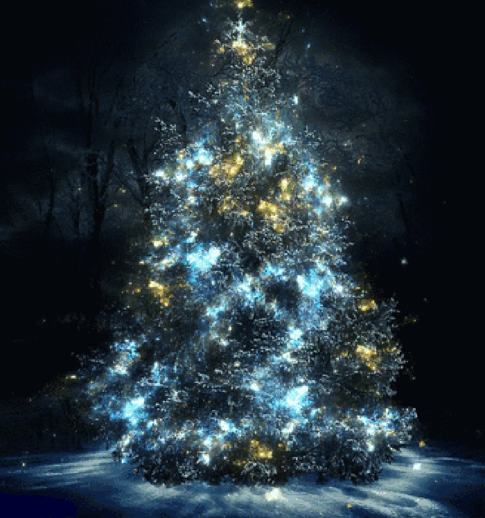 圣诞树 闪烁 夜晚 星星