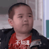 谢飞机 可爱 小胖纸