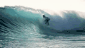 冲浪 运动   surfing