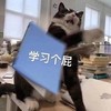 萌宠 猫星人 学习个屁 搞怪 逗
