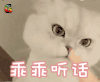 soogif soogif出品 乖乖听话 撩