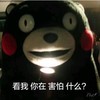 看我你在害怕什么 熊本熊 手电筒 恶搞