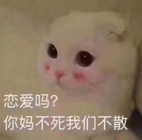 你妈不起我们不散 猫咪 脸红 可爱