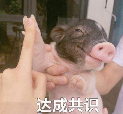 沙雕 魔性 文字表情包 搞笑 逗