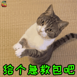萌宠 猫咪 猫 吃鸡 急救包 soogif soogif出品