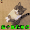 萌宠 猫咪 猫 吃鸡 急救包 搞怪 逗