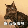 萌宠 猫咪 猫 喵星人 编 我听着呢 拒绝