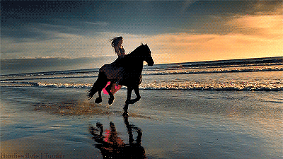 马 动物 奔跑 海边