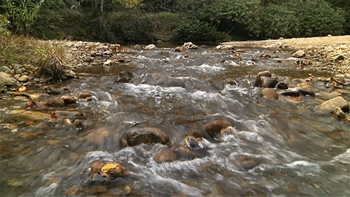 河 突破 水流 石头