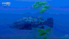 深海奇探 鱼群 湛蓝 海底