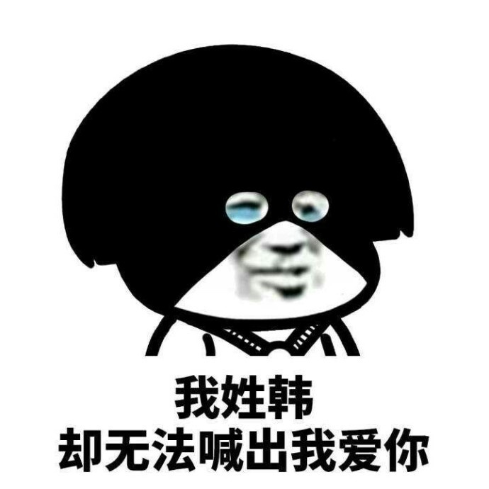 暴漫 熊猫头 我姓韩 却无法喊出我爱你 搞怪 逗