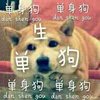 逗比 寂寞 孤独 单写的单身狗dan.sherdan shen.gol