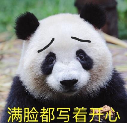 熊猫 可爱 搞笑 逗 动物园 文字表情包