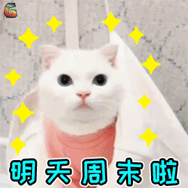 萌宠 猫咪 猫 开心 明天 周末啦 soogif soogif出品
