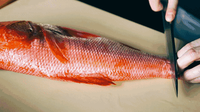 日本料理 美食 鱼 生鱼片 片鱼