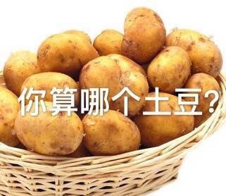 土豆 蔬菜 搞笑 斗图 雷人 你算哪个土豆