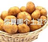 土豆 蔬菜 搞笑 斗图 雷人 你算哪个土豆