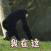 我在