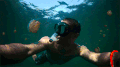 水母 男性 水下 潜水