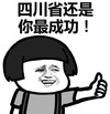 暴漫 文字表情包 四川省还是你最成功 搞笑 逗 沙雕
