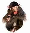 捂眼睛 长毛猴 偷笑 蜷缩