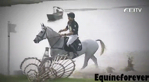 马术 Equestrianism sports 帅气 跨越