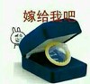 暴漫 恶搞 金馆长 嫁给我吧