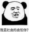 暴漫 文字表情包 我混社会的会怕你 搞笑 沙雕 逗