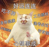 萌宠 猫星人 好运连连 工作顺利 呆萌 可爱