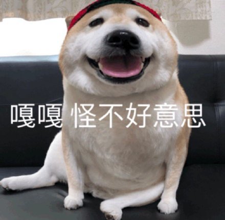 萌宠gif汪星人gif嘎嘎gif怪不好意思gif呆萌gif可爱gif