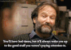 罗宾·威廉姆斯 Robin McLaurim Williams
