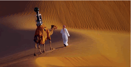 沙漠 骆驼 孤单