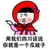 文字 学方言 表情包 逗 搞笑