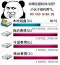 小伙子很有勇气 金馆长 内存 熊猫