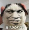 金馆长 猫头 坏笑 真他妈好笑哦