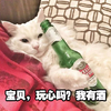 萌宠 猫星人 宝贝玩心吗 我有酒 搞怪 呆萌