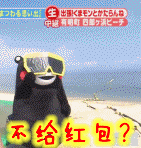 熊本熊 沙滩 天空 不给红包