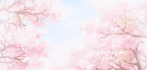 樱花 粉色 美丽 漂亮